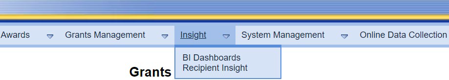 The GrantSolutions GMM menu bar. The Insight menu drop-down list.